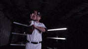 University Of Louisville Baseball GIF by Louisville Cardinals