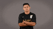 Soccer Ncaa GIF by Cal State LA Golden Eagles