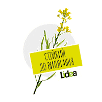 lidea_seeds canola rapeseed lidea lidea seeds Sticker