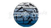 Bluewatersafaris sharks haie hammerheads bluewater safaris Sticker