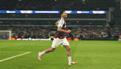 Avfc GIF by Aston Villa FC