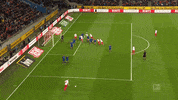 1 Fc Cologne Football GIF by 1. FC Köln