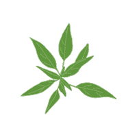 Foraging Sticker