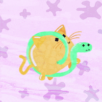 music video cat GIF by LooseKeys