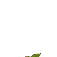 Senate Race Peach Sticker by Creative Courage