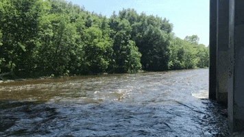 Milwaukee Wisconsin River GIF by JMatt