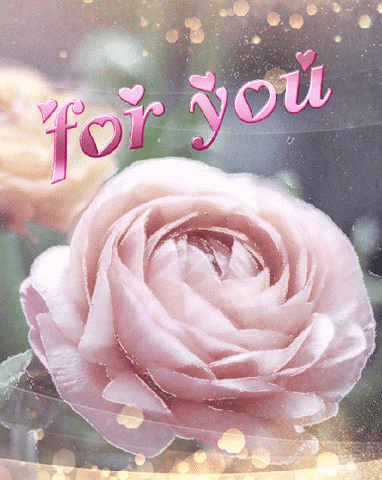 my love GIF
