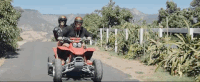 juice GIF by Chromeo