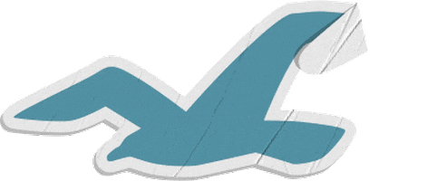 Seagull Sticker by Hollister Co.