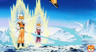 Shiba Inu GIF by SHIB MEMES