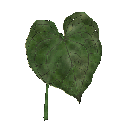 Drawdrillman giphyupload love heart tree Sticker