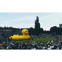 ninja duck GIF by eniac