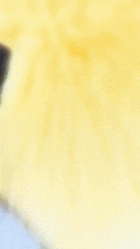 Spongebob Krustykrab GIF by Youtooz