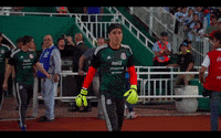 celebrate come on GIF by MiSelecciónMX
