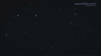 Animated Action Flash FX Overlays