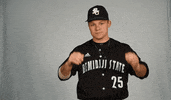 Bsu GIF by Bemidji State Beavers