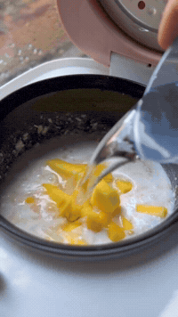 Mango Sticky Rice At Home | Rice Robot
