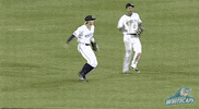 happy grand rapids GIF by West Michigan Whitecaps 