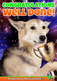 Puppy Dog Eyes GIF by PetJuvenate