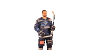 ercingolstadt celebration hockey arrow shooting Sticker