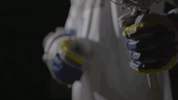 GIF by Delaware Blue Hens