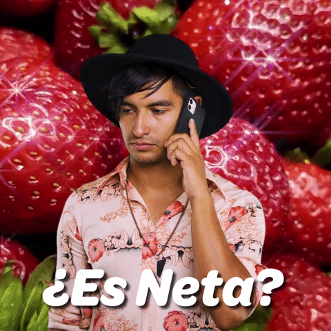 ΒΏEs Neta?