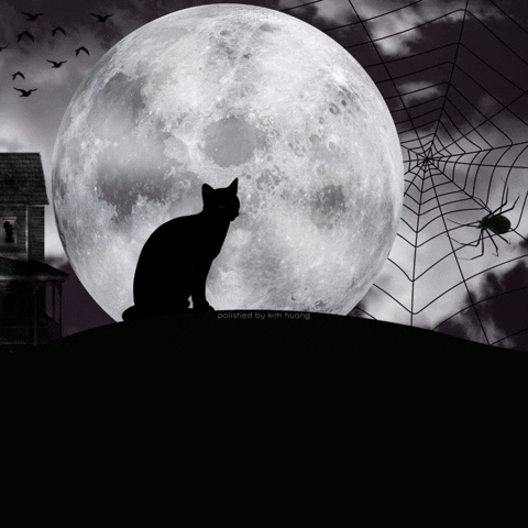 kimhuange410 giphyupload color street halloween 2022 GIF