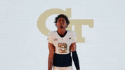 Georgia Tech Football Sport GIF by Georgia Tech Yellow Jackets