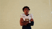 Georgia Tech Football Sport GIF by Georgia Tech Yellow Jackets