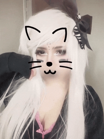 Cat Kitty GIF