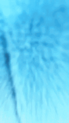 Happy Wave GIF by Youtooz
