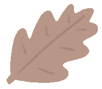 Winter Flowers Sticker