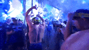 Celebrate Blue Jays GIF by Toronto Blue Jays