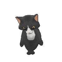 Angry Black Cat Sticker by TeamKrikey