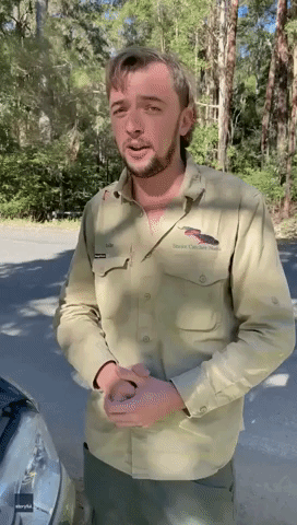 Queensland Snake Catcher Removes Carpet Python From Car Engine