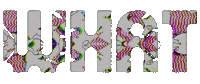 Art What Sticker