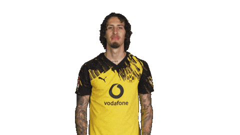 Borussia Dortmund Silva Sticker by Bundesliga