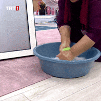 Erase Clean House GIF by TRT