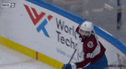 Ice Hockey Sport GIF by NHL