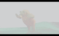 no stress dance GIF by Universal Music Africa
