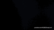 octopus arms GIF by PBS Digital Studios