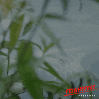 SignatureEntertainmentUK movie horror lgbt lgbtq GIF
