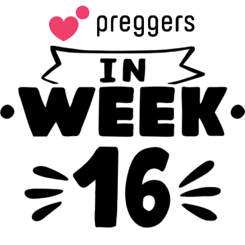 Pregnancy Week 16 Sticker by Preggers