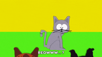 sexy cat GIF by South Park 