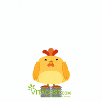 chicken spring GIF by Vitacost