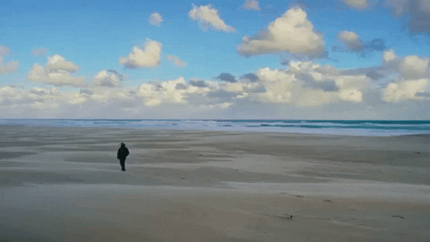 Surfing Hawaii GIF by 50statesproject