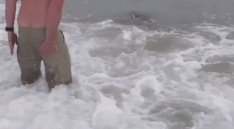 GIF by Mashable