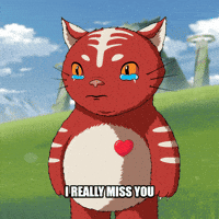 Cat Love GIF by Kitaro World