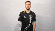 Proud Logo GIF by G2 Esports