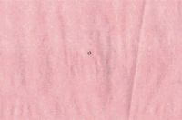 pink drawing GIF by Philippa Rice